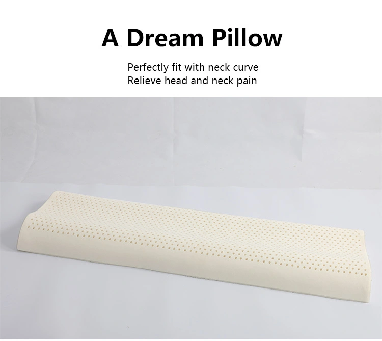 Large Size Double latex Pillow